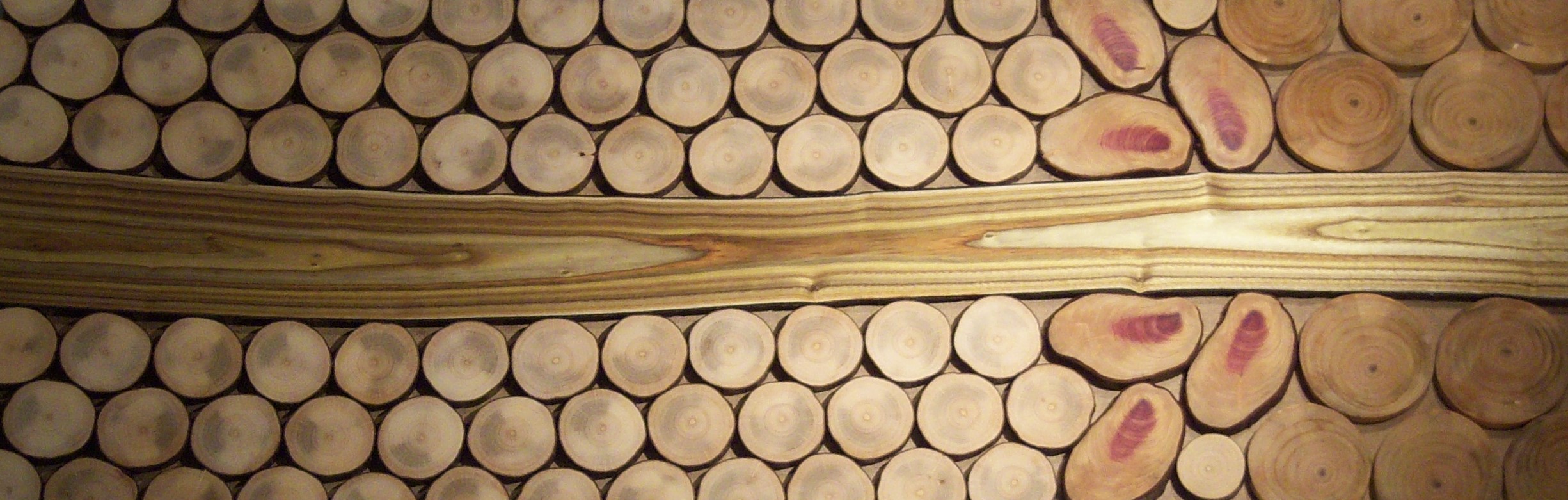 Holzkunst aus Astscheiben